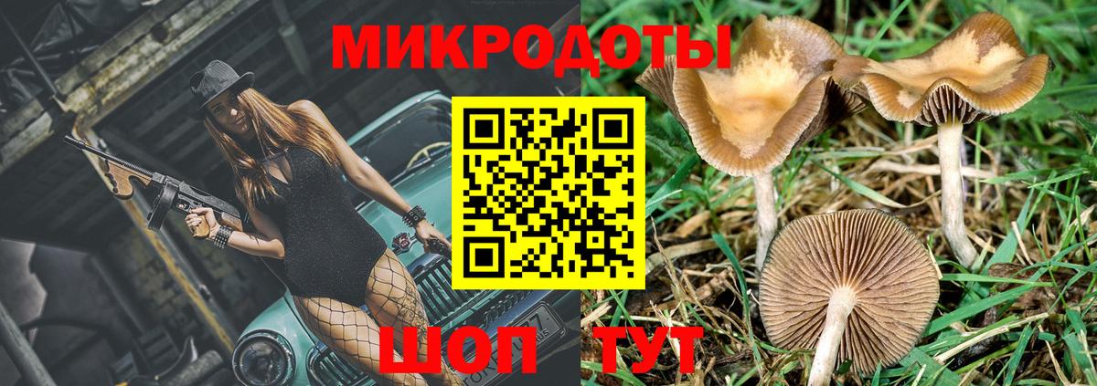 Псилоцибиновые грибы прущие грибы Белогорск