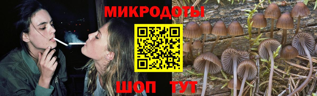 Галлюциногенные грибы Psilocybe  Вход с VPN  Галлюциногенные грибы Cubensis  Белогорск 